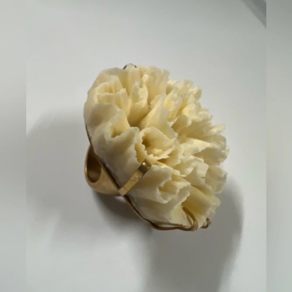 Zara resin ring